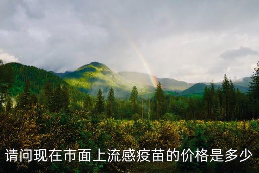 請問現在市面上流感疫苗的價格是多少