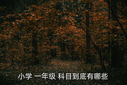 小學一，小學 一年級 科目到底有哪些