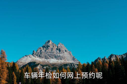 機(jī)動(dòng)車年審預(yù)約，車輛年審必須預(yù)約嗎