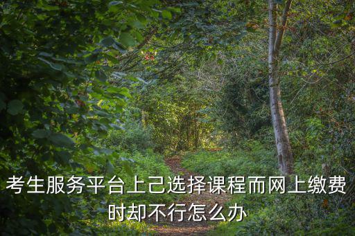 考生服務(wù)平臺(tái)上己選擇課程而網(wǎng)上繳費(fèi)時(shí)卻不行怎么辦