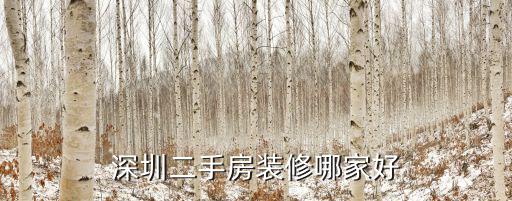 深圳二手房裝修哪家好