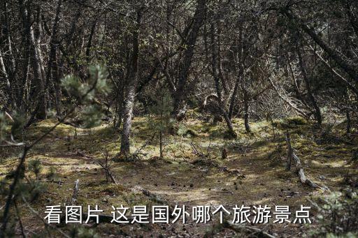 國外旅游景點圖片，這是世界上的哪個景點 好漂亮