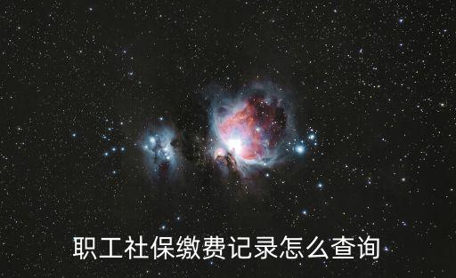 職工社保繳費記錄怎么查詢