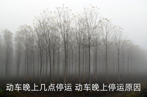 動車晚上幾點停運 動車晚上停運原因