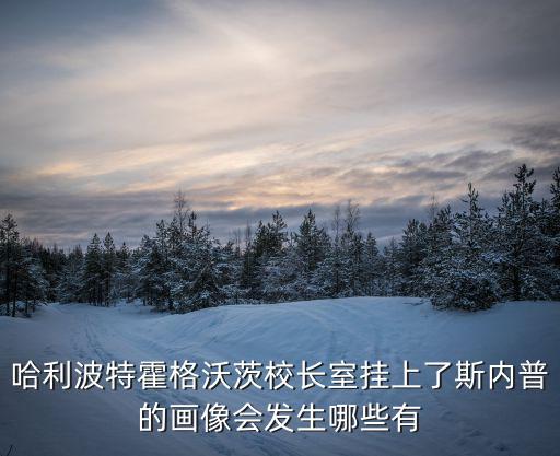 哈利波特霍格沃茨校長(zhǎng)室掛上了斯內(nèi)普的畫像會(huì)發(fā)生哪些有