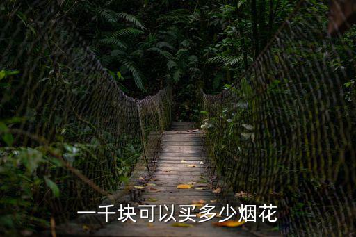 禮花價格，一千塊可以買多少煙花