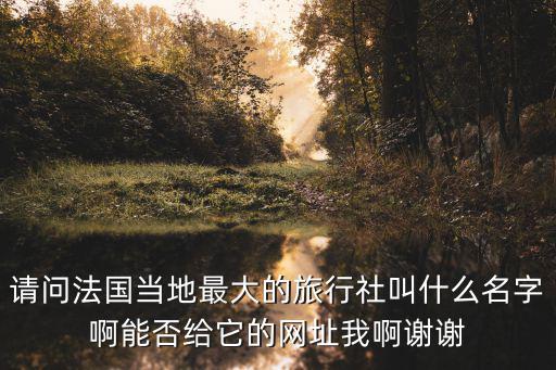請問法國當地最大的旅行社叫什么名字啊能否給它的網址我啊謝謝