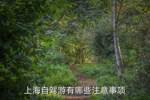 上海自駕游有哪些注意事項