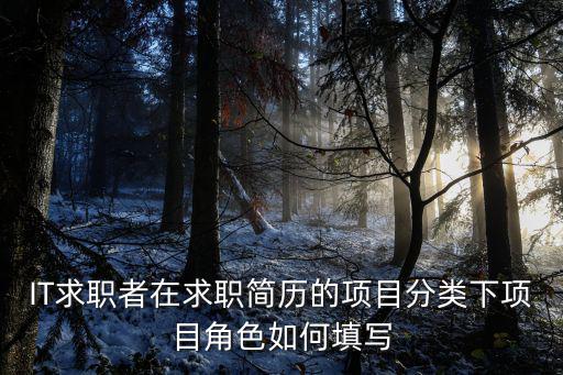 IT求職者在求職簡歷的項目分類下項目角色如何填寫