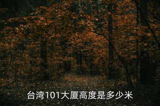 臺灣101大廈高度是多少米