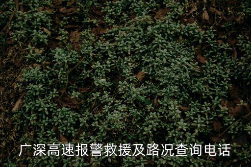 廣深高速，廣深高速全程多遠