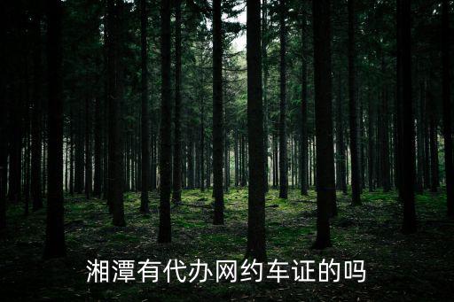 湘潭有代辦網約車證的嗎