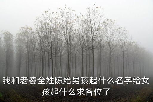 我和老婆全姓陳給男孩起什么名字給女孩起什么求各位了