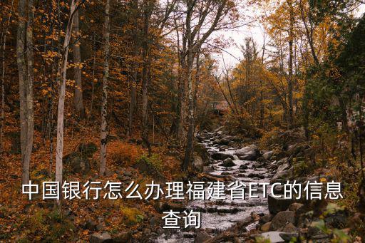中國銀行怎么辦理福建省ETC的信息查詢