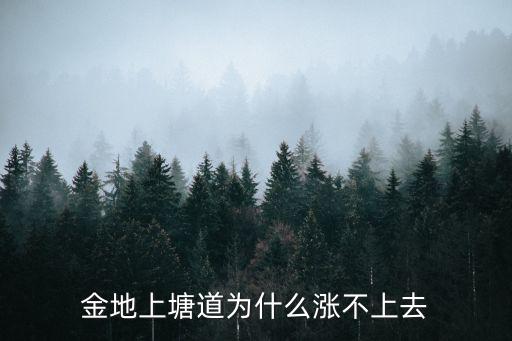 金地上塘道，金裝鬼打鬼電影中兩個道士叫什么