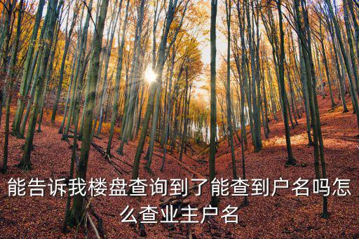 樓盤查詢，請問在不到售樓部的前提下在哪可以查到一個樓盤是不是大產(chǎn)權(quán)