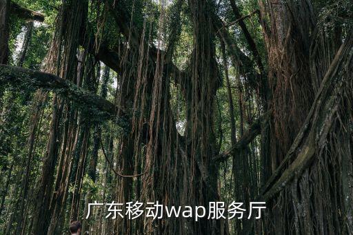 廣東移動(dòng)wap服務(wù)廳