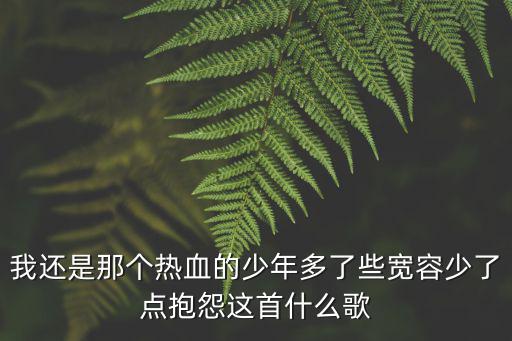 我還是那個熱血的少年多了些寬容少了點抱怨這首什么歌