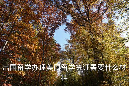 美國出國簽證，去美國怎么辦簽證