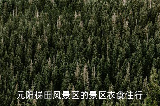 元陽(yáng)梯田旅游，去元陽(yáng)梯田旅游這里有什么好吃的啊謝謝