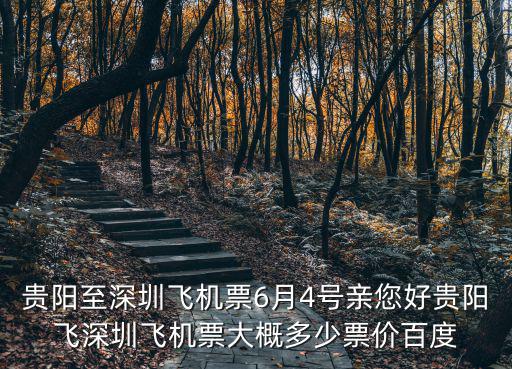 貴陽至深圳飛機(jī)票6月4號(hào)親您好貴陽飛深圳飛機(jī)票大概多少票價(jià)百度