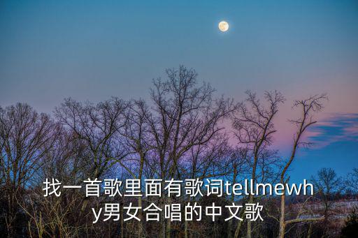 找一首歌里面有歌詞tellmewhy男女合唱的中文歌