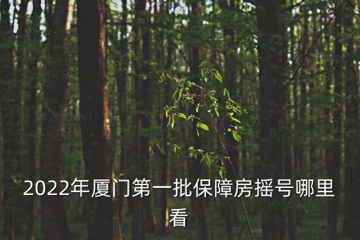 搖號(hào)直播，哪個(gè)臺(tái)直播搖號(hào)