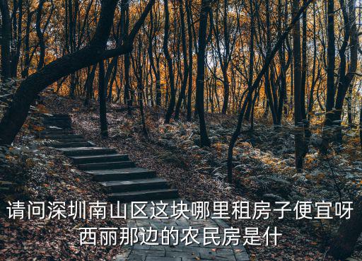 南山租房，請(qǐng)問深圳南山區(qū)這塊哪里租房子便宜呀西麗那邊的農(nóng)民房是什