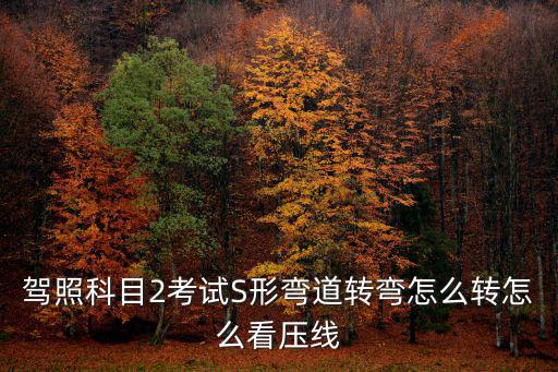 駕照科目2考試S形彎道轉彎怎么轉怎么看壓線