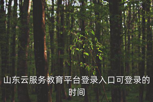 山東云服務教育平臺登錄入口可登錄的時間