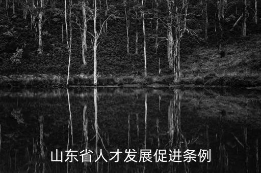 山東省人才發展促進條例