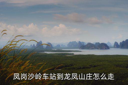 鳳崗龍鳳山莊，東熒鳳崗龍鳳山莊網(wǎng)上購(gòu)6元一張票和平時(shí)60元一張票玩的內(nèi)容是一