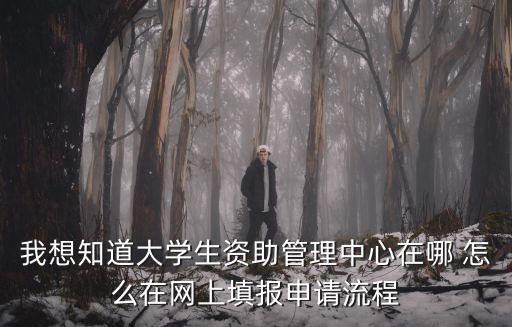我想知道大學生資助管理中心在哪 怎么在網上填報申請流程