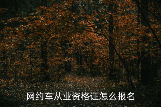網約車從業資格證怎么報名