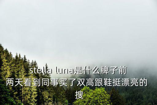 stella luna是什么牌子前兩天看到同事買了雙高跟鞋挺漂亮的  搜
