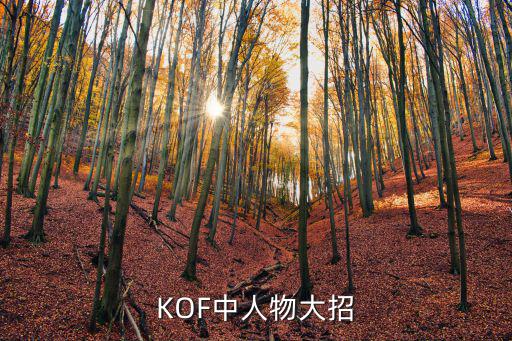 鄭軻，KOF中人物大招