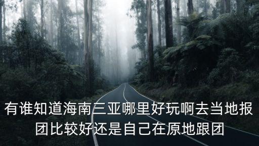 有誰知道海南三亞哪里好玩啊去當地報團比較好還是自己在原地跟團