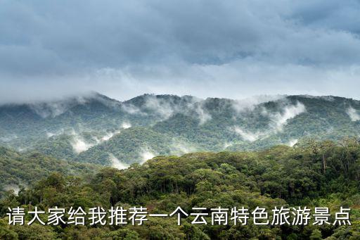 請大家給我推薦一個云南特色旅游景點