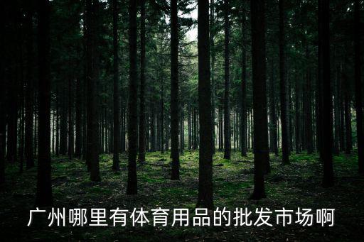 廣州哪里有體育用品的批發市場啊
