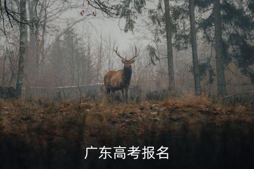 廣東高考報名