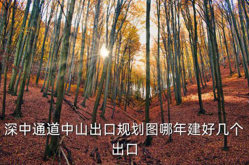 深中通道中山出口規劃圖哪年建好幾個出口