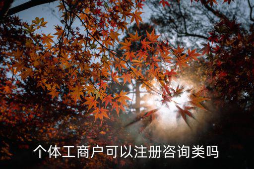 個體工商戶可以注冊咨詢類嗎