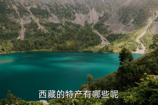 西藏的特產(chǎn)，西藏那有什么特產(chǎn)啊