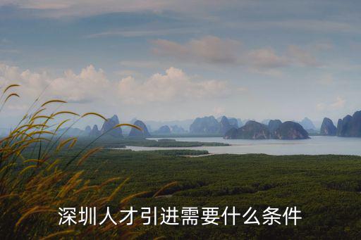 深圳人才引進(jìn)需要什么條件