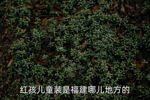 紅孩兒童裝，近段時(shí)間很火的紅孩兒童裝redkids看好這個(gè)童裝品牌想知道四川地