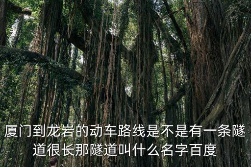 廈門到龍巖的動車路線是不是有一條隧道很長那隧道叫什么名字百度
