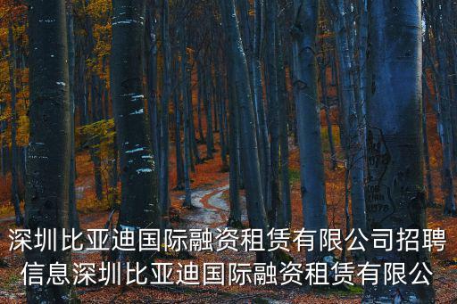 深圳比亞迪招聘信息，比亞迪深圳招聘信息