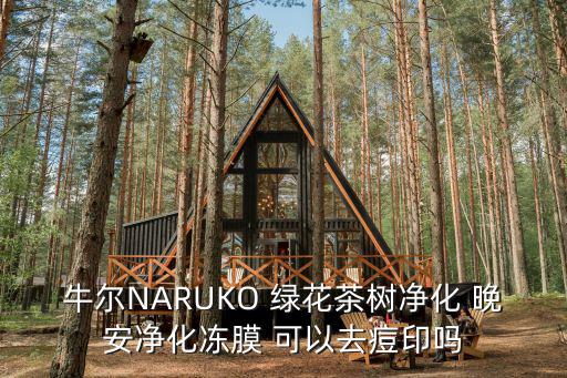牛爾NARUKO 綠花茶樹凈化 晚安凈化凍膜 可以去痘印嗎