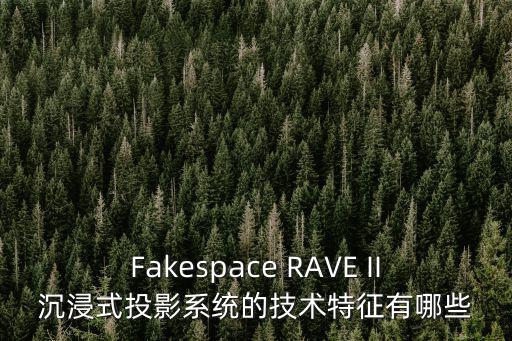 Fakespace RAVE II沉浸式投影系統的技術特征有哪些