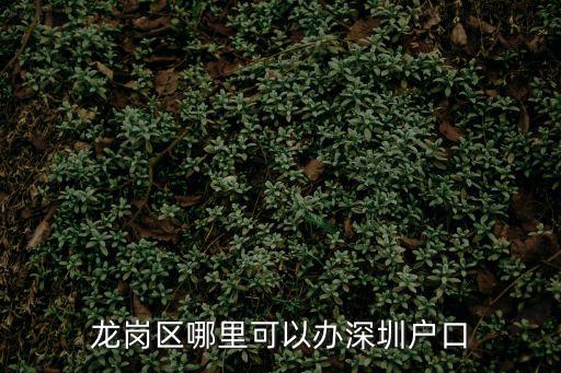 龍崗區哪里可以辦深圳戶口